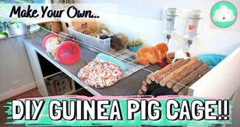 homemade ikea style guinea pig cage