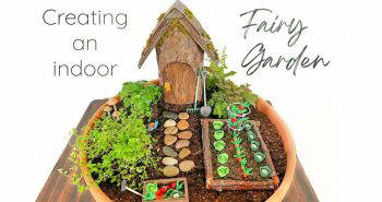 homemade indoor fairy garden