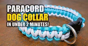 homemade paracord dog collar