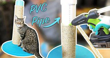 homemade pvc pipe cat scratching post