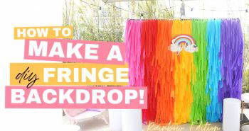 homemade rainbow fringe backdrop