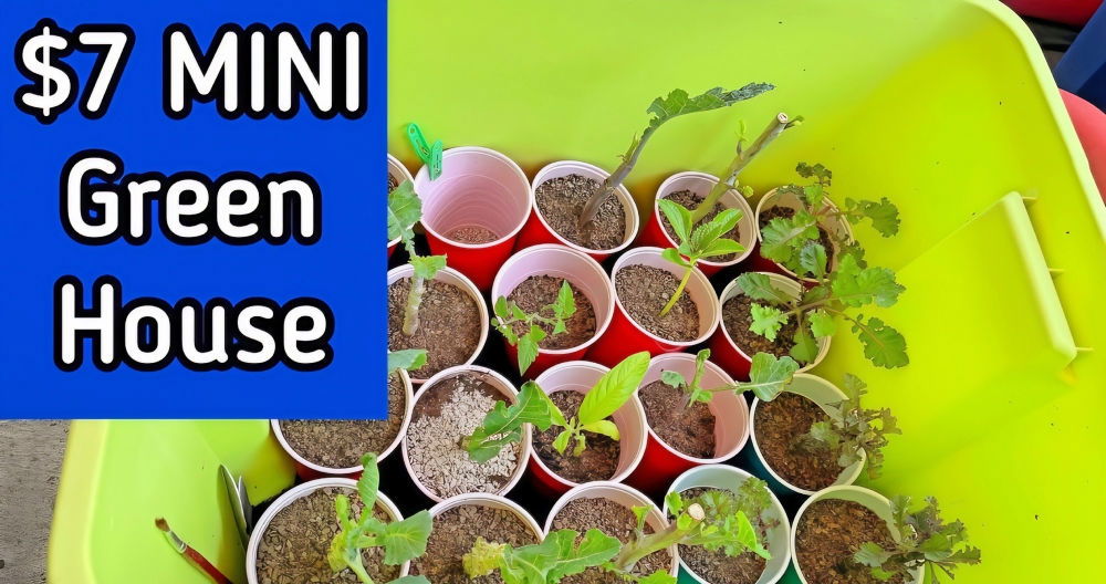 Make Your Own DIY Seed Starter Greenhouse