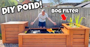 how to build a backyard garden pond