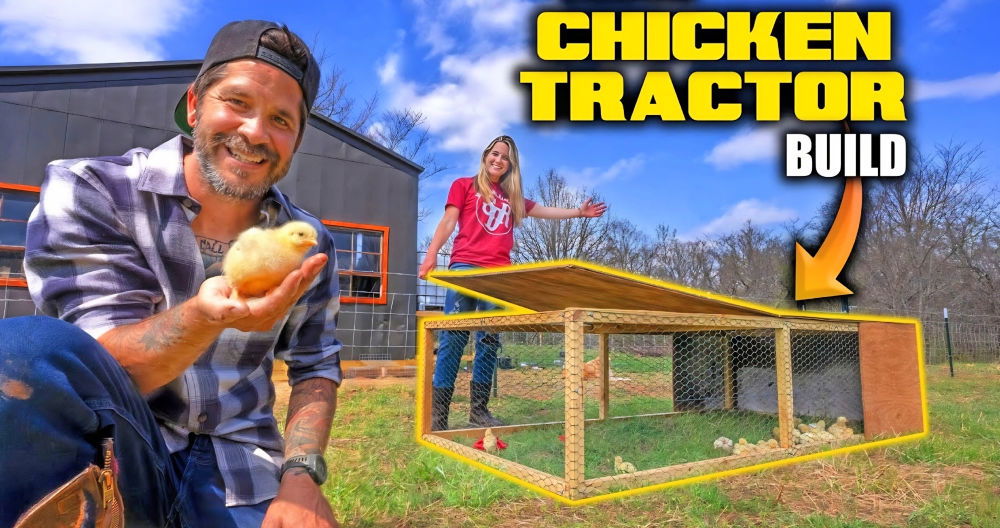 How to Build a DIY Chicken Tractor with Free Plans