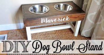 how to build a dog bowl stand