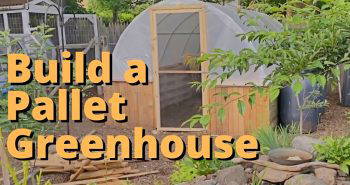 how to build a pallet greenhouse