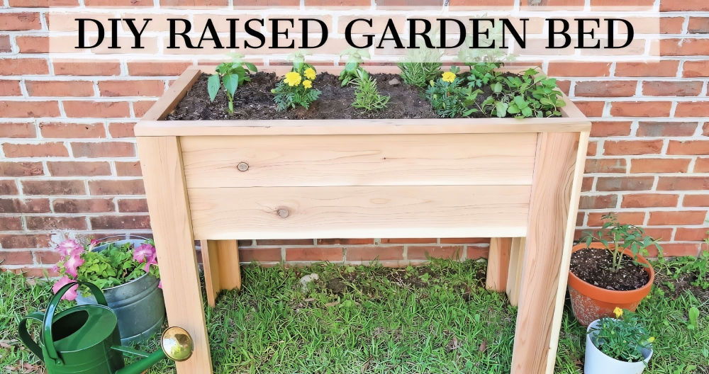 How to Build a DIY Raised Garden Bed with Legs