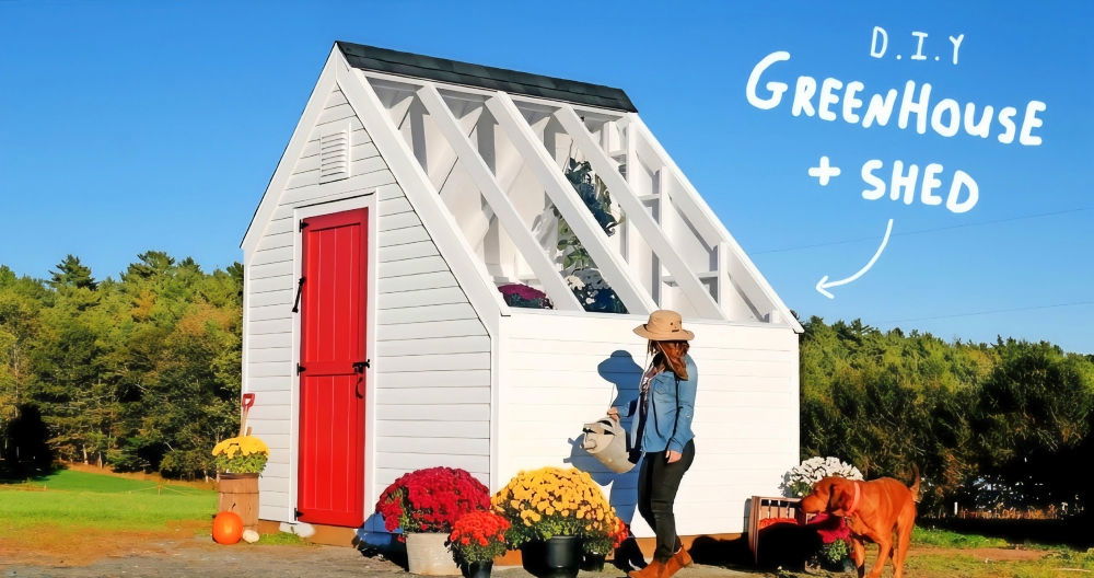 DIY Shed Greenhouse Combo for Gardeners