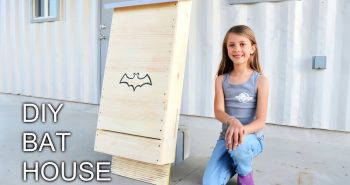 how to build a wooden bat house