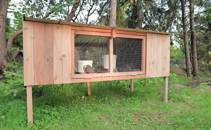 how to build a wooden quail coop