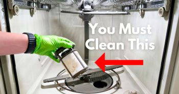 how to clean a dishwasher