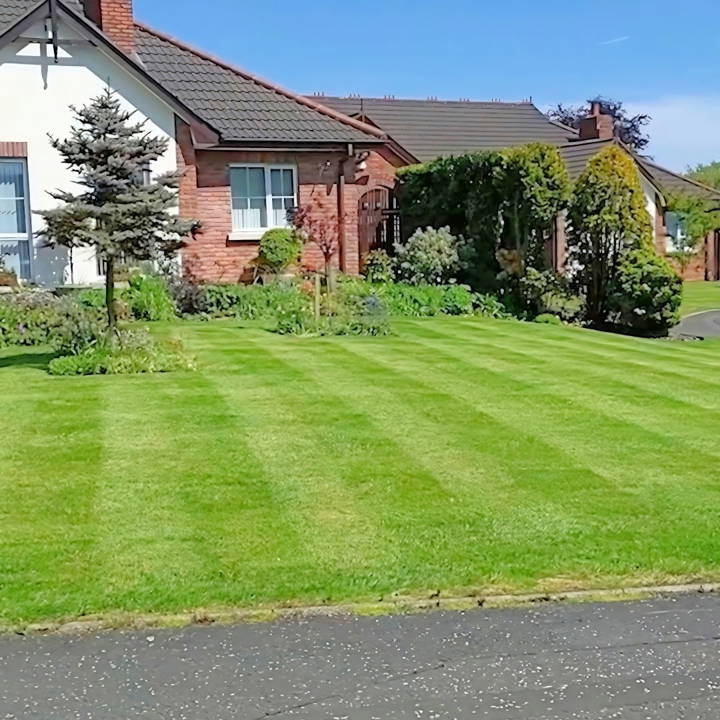 how to do lawn care and maintenance