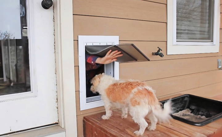 how to install a dog door in a wall