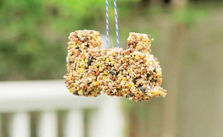 how to make a bird feeder