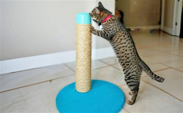 how to make a cat scratching post