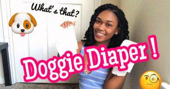 how to make a dog diaper