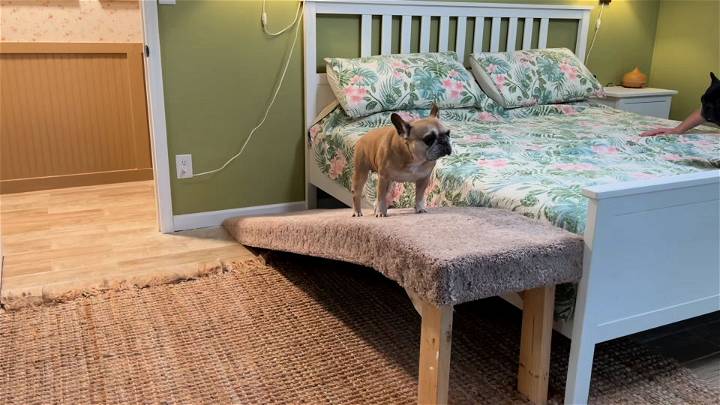 how to make a dog ramp