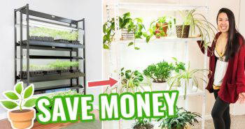 how to make a grow light system