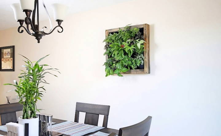 how to make a living plant wall