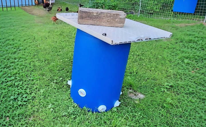 how to make a no waste chicken feeder