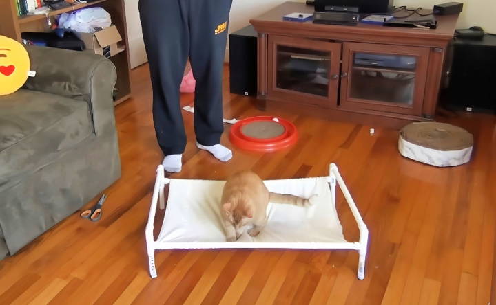 how to make a pvc pipe cat hammock