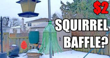 how to make a squirrel baffle