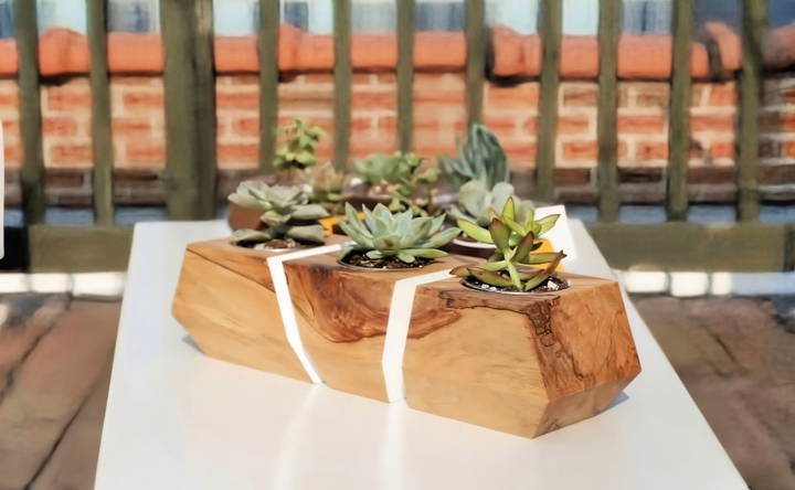 how to make a succulent planter