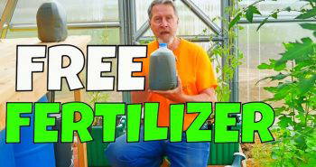 how to make an organic fertilizer