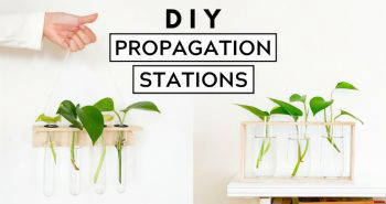 how to make propagation stations