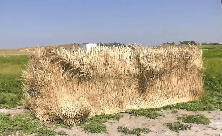 inexpensive diy duck blind