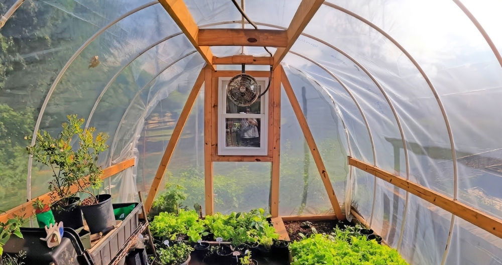 Building a DIY PVC Pipe Greenhouse at Home