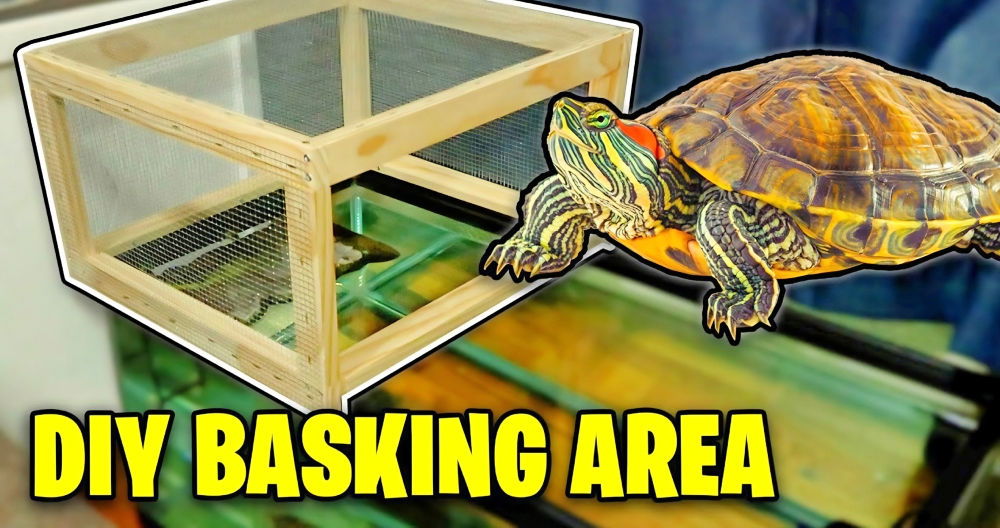 Cheap and Easy DIY Turtle Basking Area