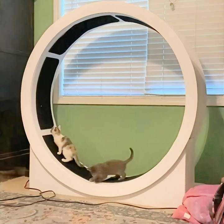 make your own cat wheel