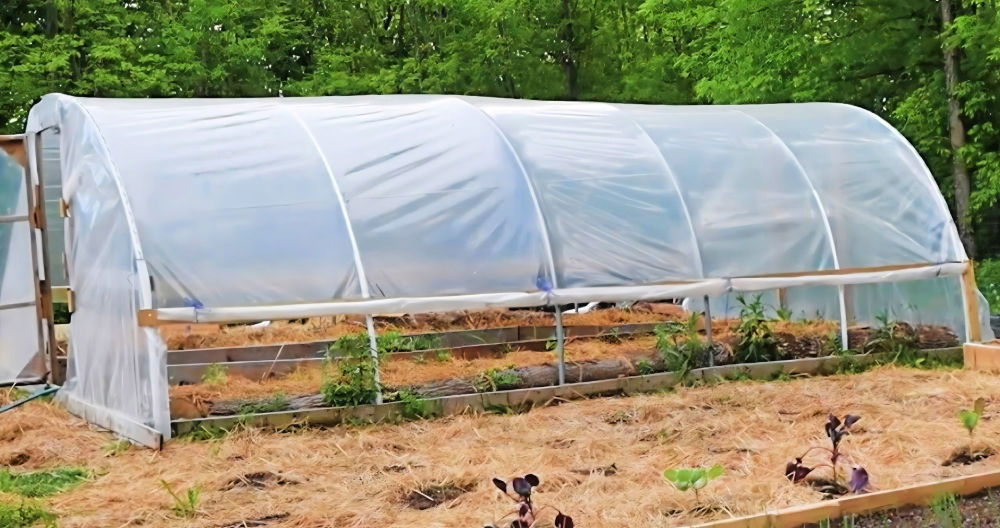 DIY Hoop House: Step-by-Step Instructions