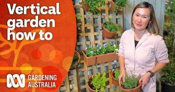 making a vertical wall garden