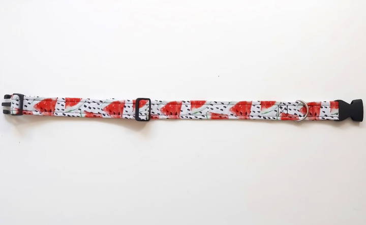 making your own dog collar