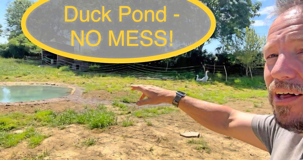 making your own duck pond