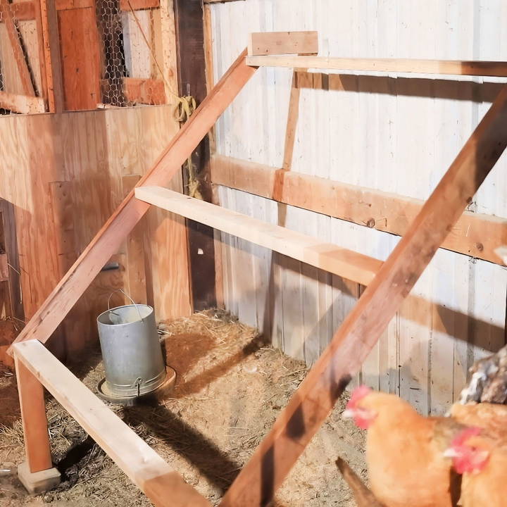 quick and easy diy chicken roost