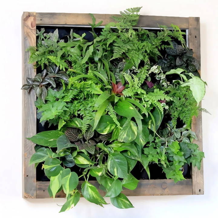 quick and easy diy plant wall