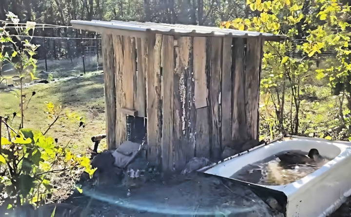 simple diy duck house with pool