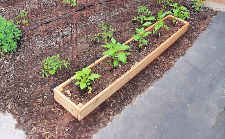 simple diy raised bed veggie garden