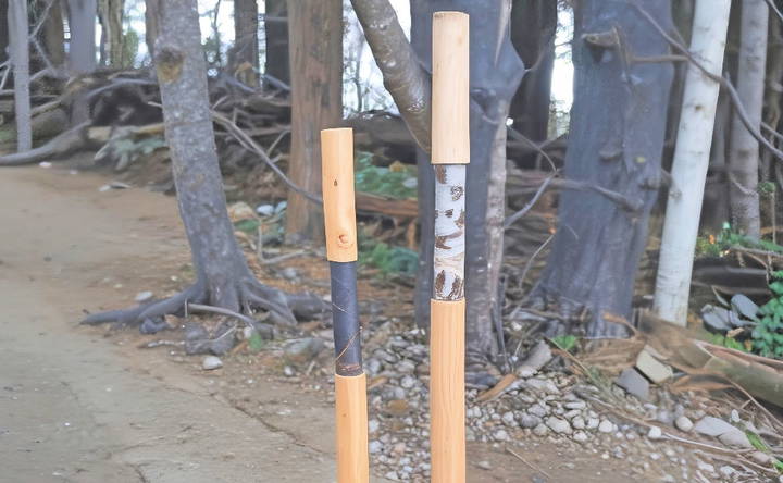 simple diy walking stick