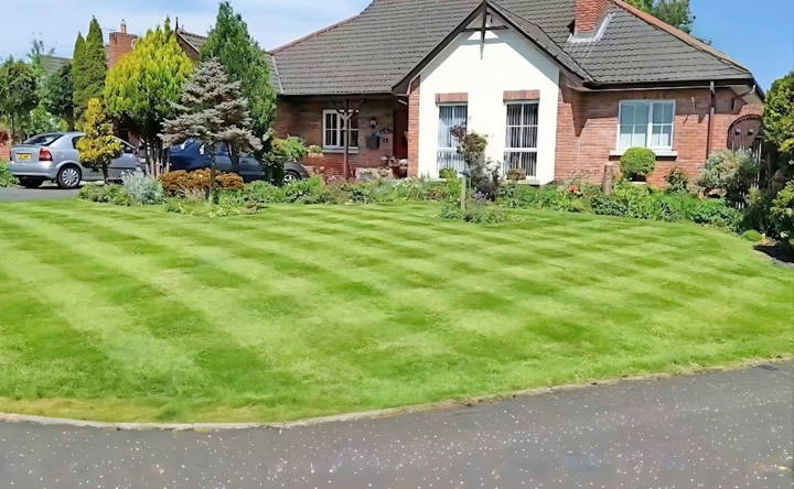 the ultimate lawn care guide