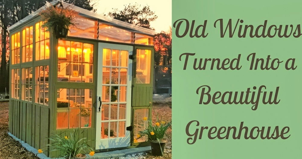 Homemade DIY Old Window Greenhouse