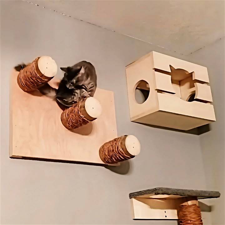 ultimate diy cat wall playground