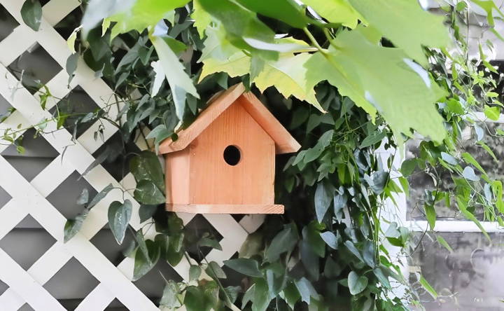 easy diy birdhouse with minimal tools