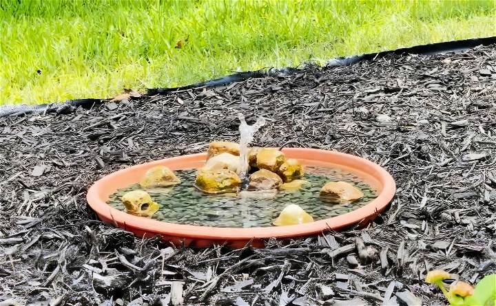 homemade solar powered fountain