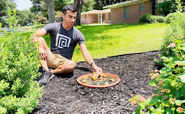 how to make a solar fountain