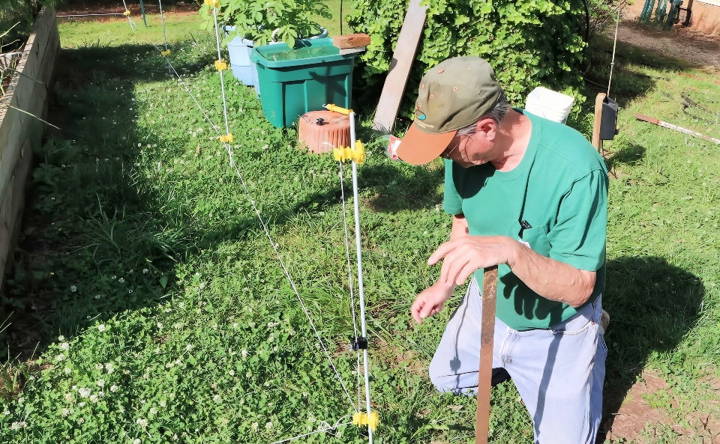 install an electric fence for dogs