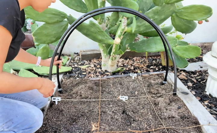 assembling the garden hoops